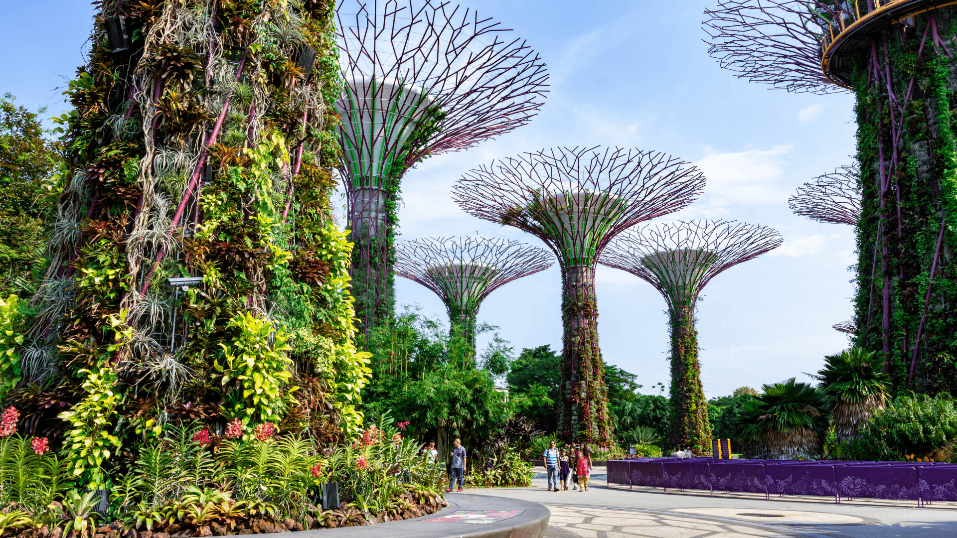 Gardens by the Bay joins the EarthCheck Sustainable Destinations program