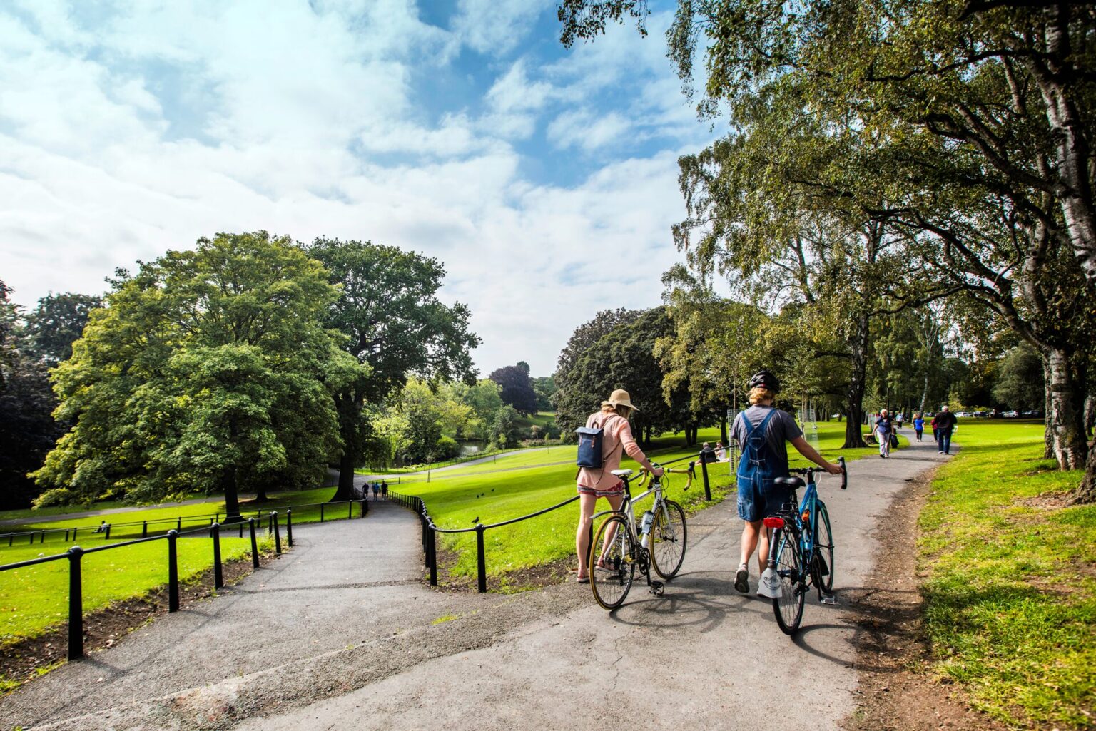 Two people cycling in Phoenix Park in summer