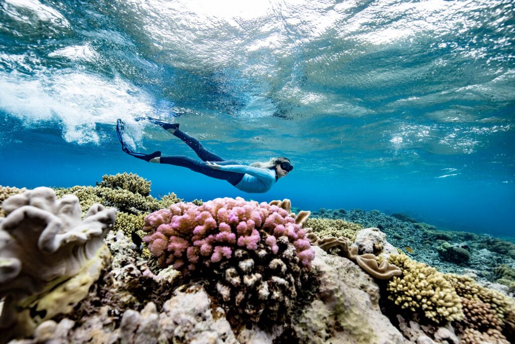 One snorkeller in a wet suit snorkelling in the Great Barrier Reef